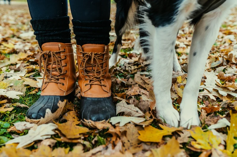 boots-and-dog-paws-in-leaves