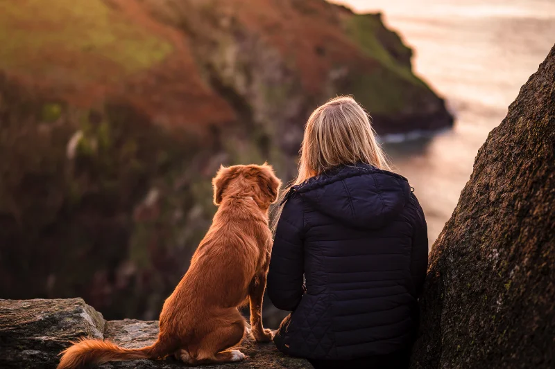dog-and-owner-admiring-the-view