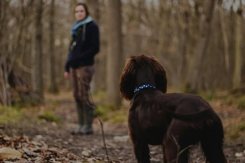 dog-and-owner-in-the-woods