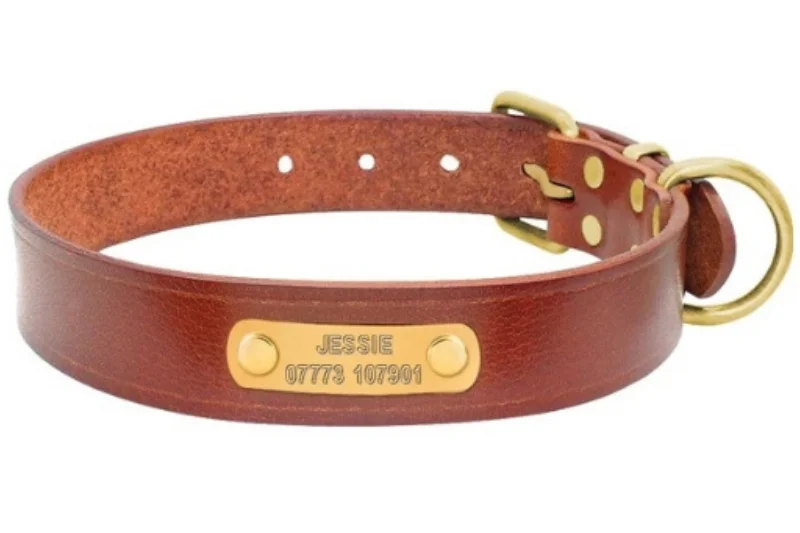 leather-engraved-collar