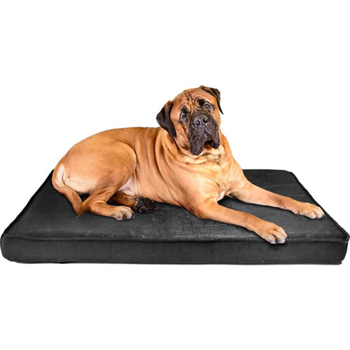 indestructible dog bed example
