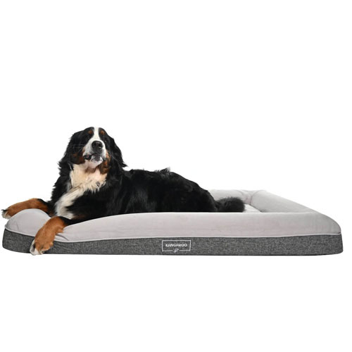 memory foam dog bed example