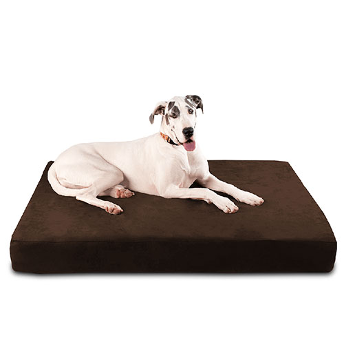 Orthopedic dog bed example