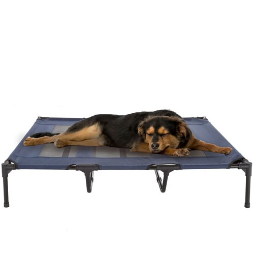 outdoor dog bed example