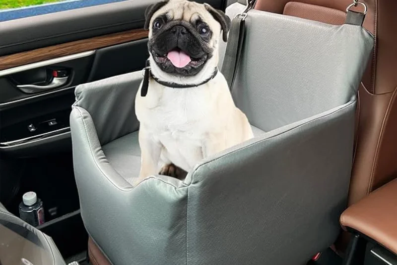 bucket-dog-car-seat