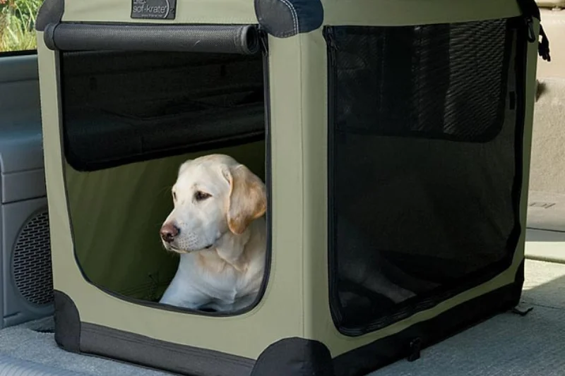 dog-car-crate