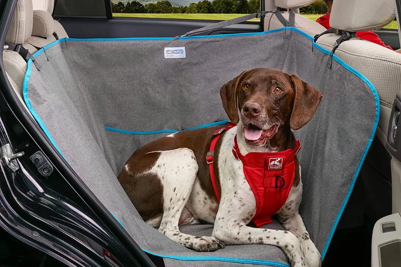 dog-car-hammock